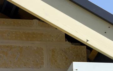 soffit repair West Cross